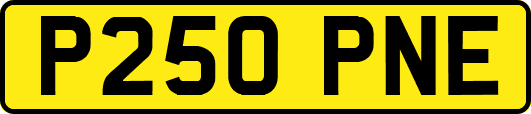 P250PNE