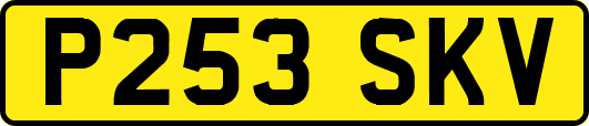 P253SKV