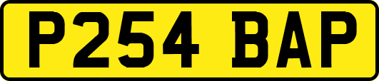 P254BAP