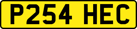 P254HEC