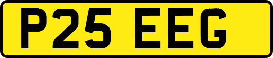 P25EEG