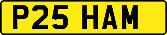 P25HAM