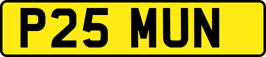 P25MUN