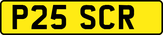 P25SCR