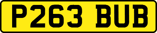 P263BUB