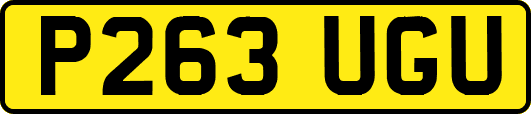 P263UGU