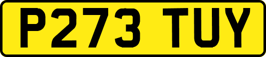 P273TUY