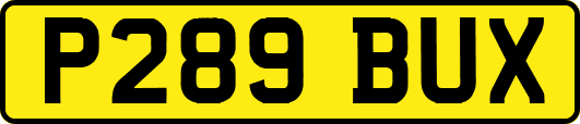 P289BUX