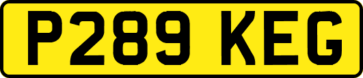 P289KEG