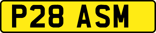 P28ASM