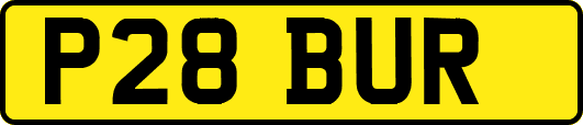 P28BUR