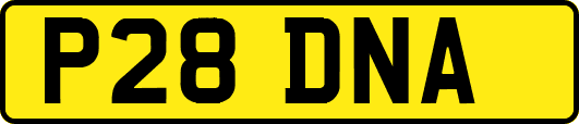 P28DNA
