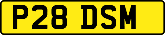 P28DSM