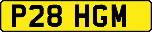 P28HGM