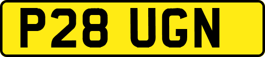 P28UGN