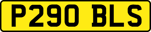 P290BLS