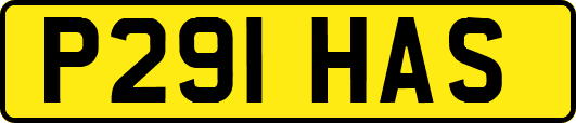 P291HAS