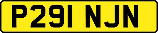 P291NJN