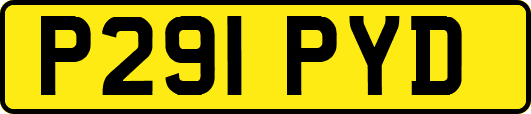 P291PYD