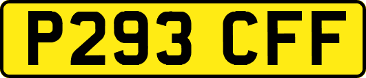 P293CFF