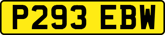 P293EBW