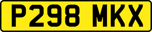 P298MKX