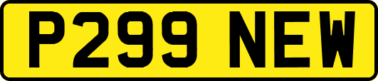 P299NEW