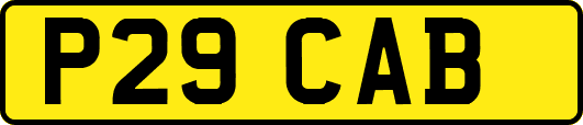 P29CAB