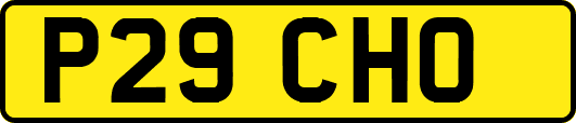 P29CHO