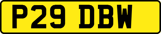 P29DBW