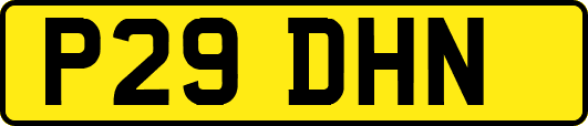 P29DHN