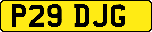 P29DJG