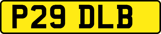 P29DLB