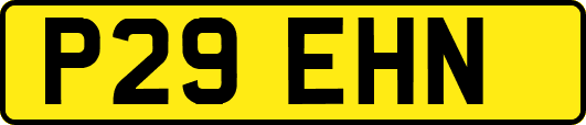 P29EHN