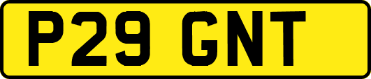 P29GNT
