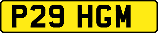 P29HGM