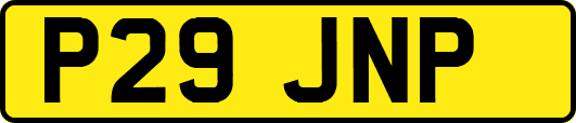 P29JNP