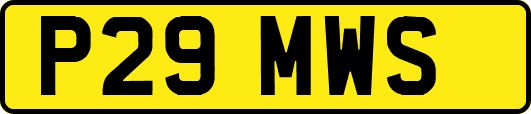 P29MWS