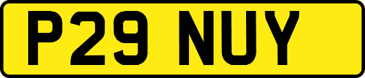 P29NUY