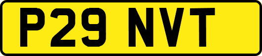 P29NVT