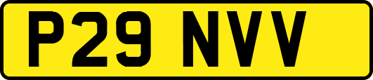 P29NVV