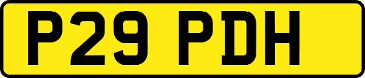 P29PDH