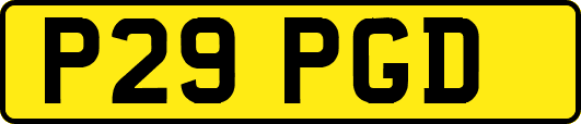 P29PGD