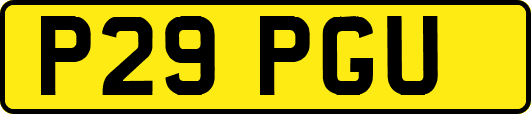 P29PGU