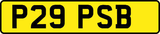P29PSB