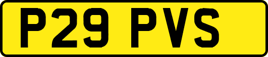 P29PVS