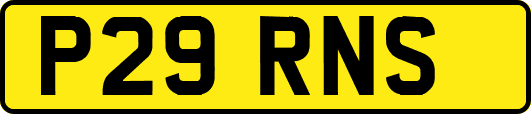 P29RNS
