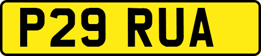 P29RUA