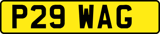 P29WAG