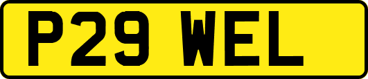 P29WEL